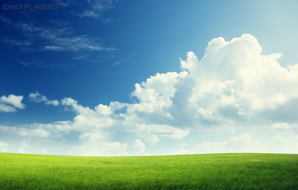 「家居風水必學：10個擺設技巧，打造和諧舒適的生活空間！」示意圖